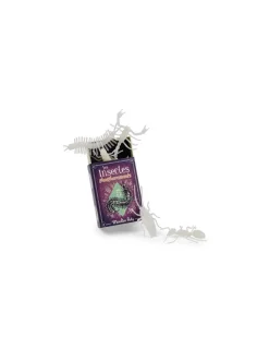 Moulin Roty 5 insectes phosphorescents -
