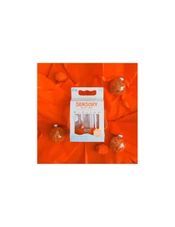 Glo Pals Bocal de jeu sensoriel orange -