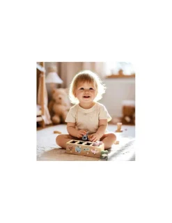 Speedy Monkey Boite à formes Animaux -