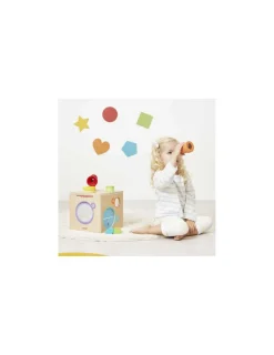 Janod Boite sensorielle -