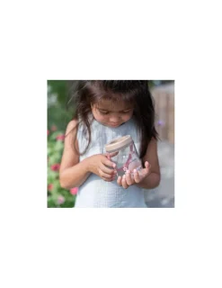 Little Dutch Boîte à insectes Fairy Garden -