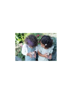 Little Dutch Boîte à insectes Fairy Garden -