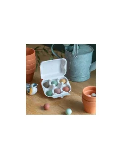 Moulin Roty Boîte à oeufs 6 bombes à graines Le jardin du Moulin -