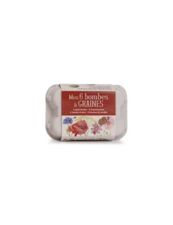 Moulin Roty Boîte à oeufs 6 bombes à graines Le jardin du Moulin -