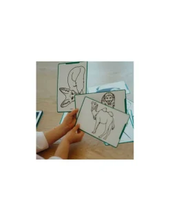 Kidywolf Cartes Kidydraw Mini Animaux et Pirates -