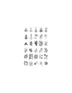 Kidywolf Cartes Kidydraw Mini Galaxy et Dinosaures -