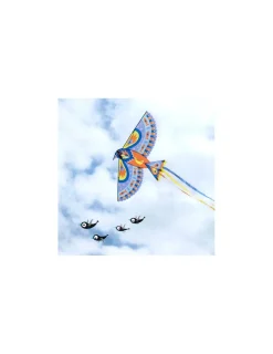 Djeco Cerf-volant maxi bird -