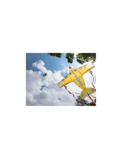 Djeco Cerf-volant maxi plane -