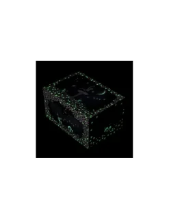 Trousselier Coffret musical danseuse étoile -