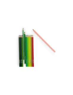 Moulin Roty Crayons de couleur et cartes Nature Le Jardin du Moulin -