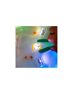 Glo Pals Cubes lumineux Zoo -