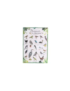 Enfant Moulin Roty Découverte des oiseaux Le Jardin du Moulin -