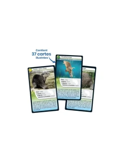 Enfant Bioviva Défis nature Animaux d'eau douce -