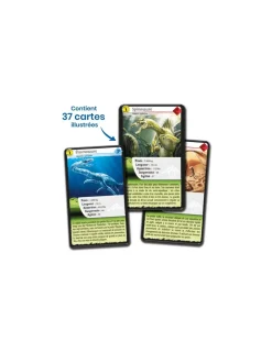 Enfant Bioviva Défis nature dinosaures vert -