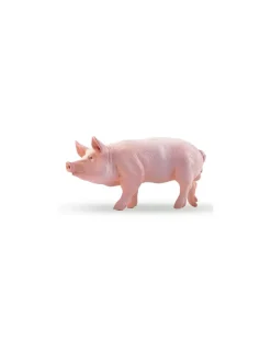 Papo Figurine cochon verrat -