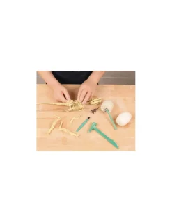 Auzou Je découvre les dinosaures -