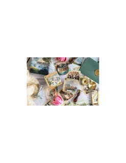 Blackrock Games Jeu Cartaventura : Versailles