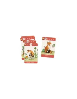 Enfant Moulin Roty Jeu de 7 familles Le Jardin -