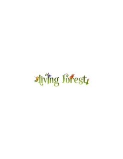 Blackrock Games Jeu Living forest