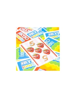 Enfant Blackrock Games Jeu Skyjo junior