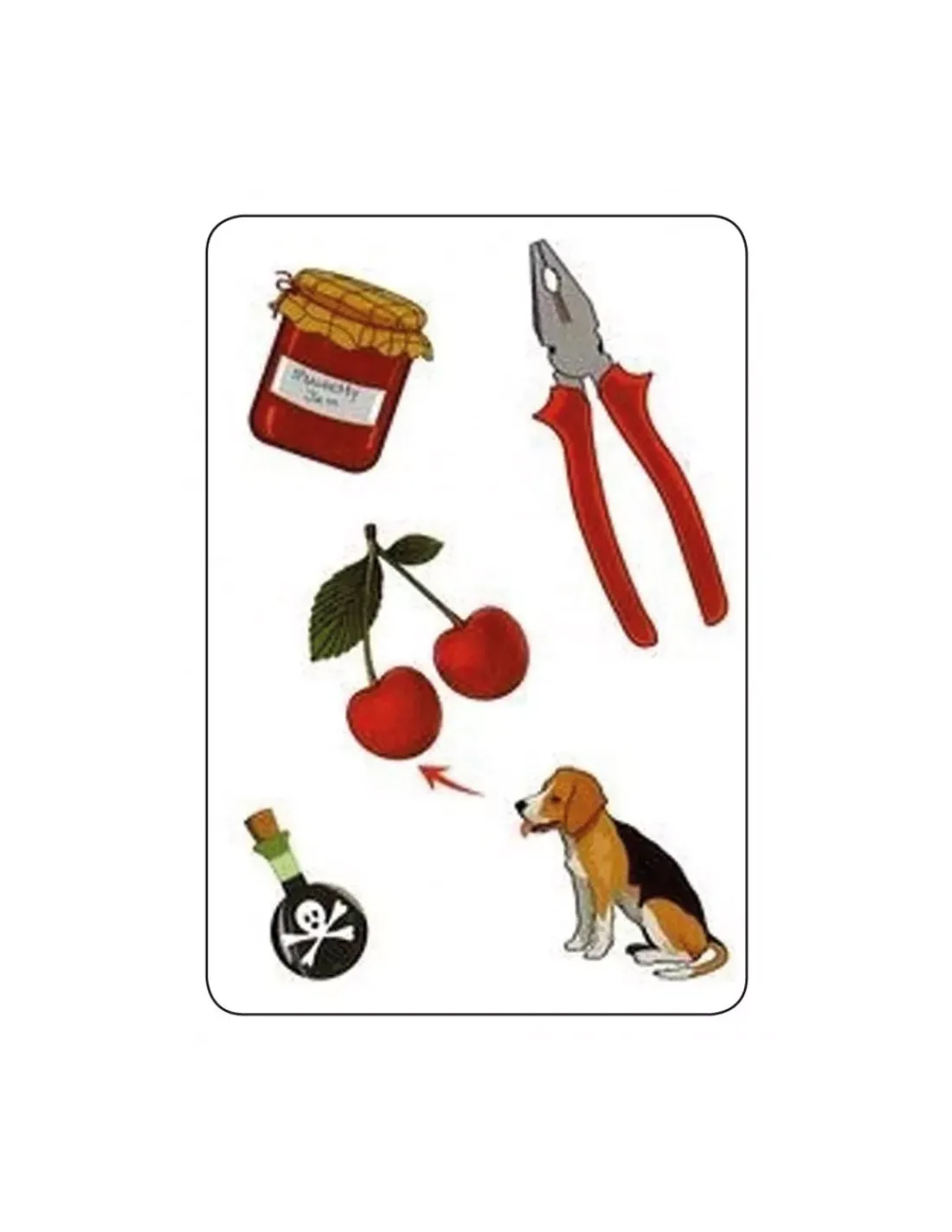 Enfant Blackrock Games Jeu TamTam safari CE1