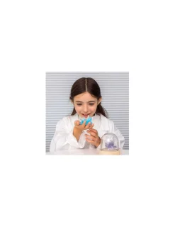 Sentosphere La Chimie des Cristaux - Sentosphère