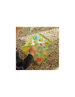 Djeco Labyrinthe magnétique Frogy Maze -