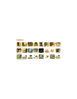 Moulin Roty Lampe à histoires Ecureuil Ecole des loisirs -