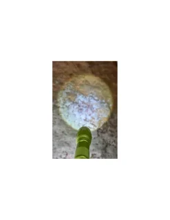 Terra Kids Lampe de poche -