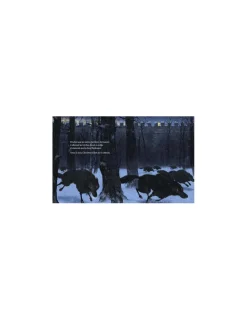 Moulin Roty Livre Chevalier Chouette et petite oiselle - L'école des loisirs