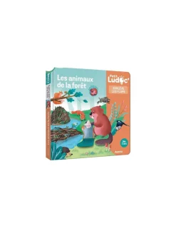 Auzou Livre documentaire les animaux de la forêt Ludoc -