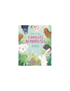 Sassi junior Livre Familles nombreuses - Sassi