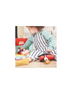 Lilliputiens Ma première ferme -