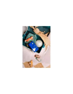 Lunii Ma 1ère - Conteuse des premiers moments