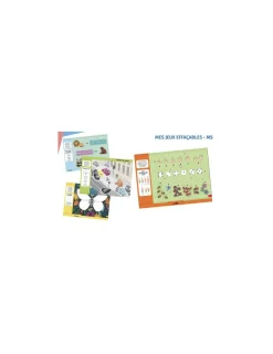 Auzou Mes jeux effaçables de Moyenne Section -