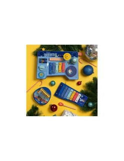 Moulin Roty Métallophone Puce & Pilou -