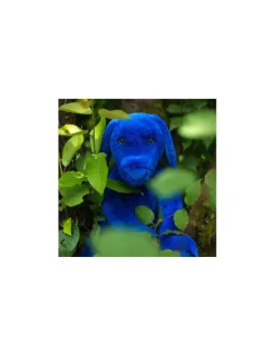 Moulin Roty Peluche Chien bleu Ecole des loisirs -