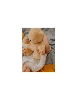 L'Ours Francais Peluche petit ours beige L'ours français 25 cm