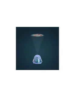 Moulin Roty Projecteur des animaux Les aventures de Paulie -