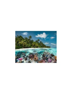 Ravensburger Puzzle 2000 pièces Une plongée aux Maldives -