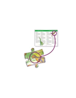 Djeco Puzzle d'observation Dinosaures et livret -