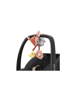 Lilliputiens Stella acti nomade -