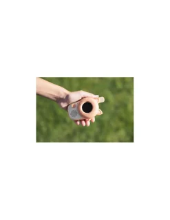 The Zoofamily Talkie Walkie Renard -