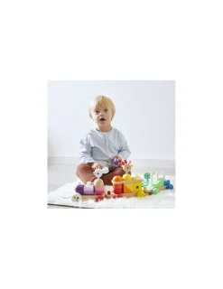 Janod Train géant multicolore zigolos -