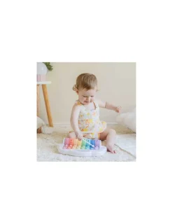 Tiger Tribe Xylophone à rouleaux arc en ciel -